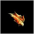FLX-INTAUT (3)